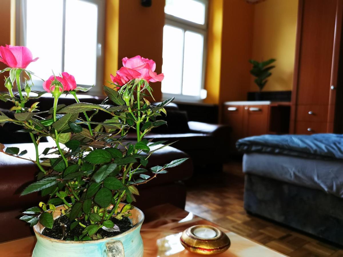 Lehel Apartman Keszthely Kültér fotó